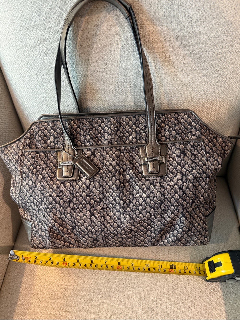 Coach Snake-Print Tote in Brown and Gray